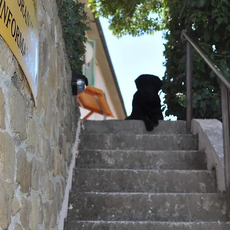 Agriturismo Il Cerrosughero Scarlino