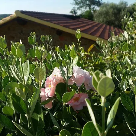 Agriturismo Il Cerrosughero Alloggio per agriturismo *